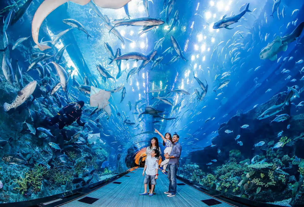 dubai-aquarium-and-underwater-zoo